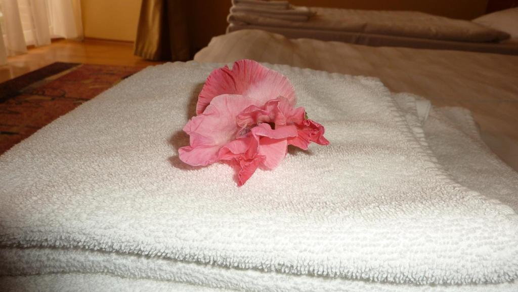 Hotel Banderium Komárno Habitación foto